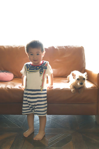 お家でおしゃれな写真を撮るアイデア ナチュラルに撮るなら日中や曇り