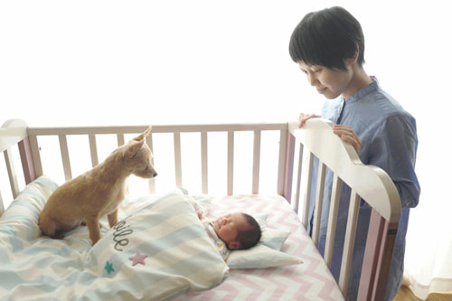 お家でおしゃれな写真を撮るアイデア 晴天、曇天、雨天の違い