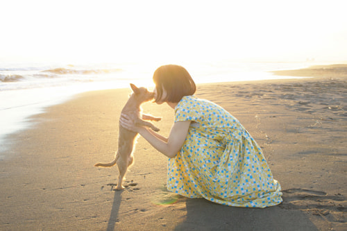 出張写真教室(フォトレッスン)