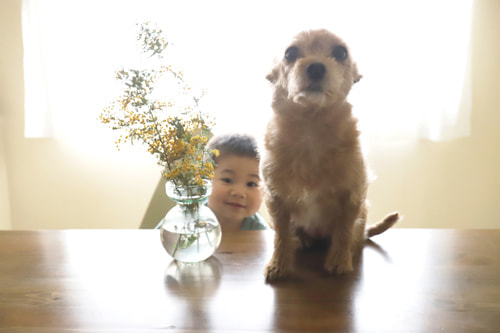 EOS 5D Mark IV｜作例｜ライカとの比較