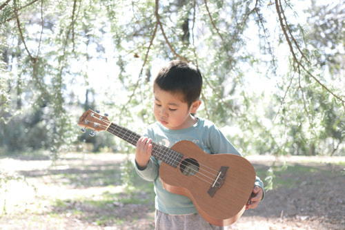 EOS 5D Mark IV｜作例｜森