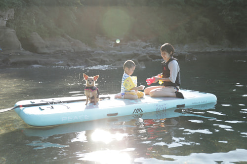 EOS 5D Mark IV｜作例｜逆光