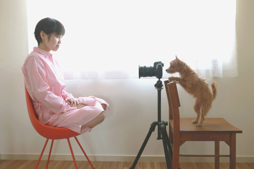 EOS 5D Mark IV｜作例｜レビュー