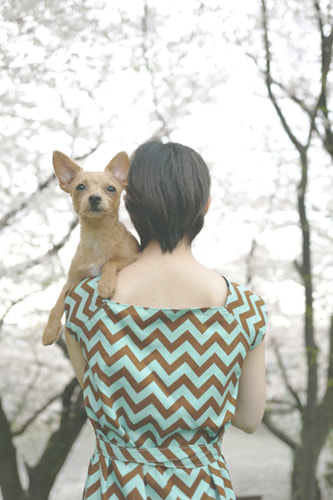 LeicaQ typ116 Summilux28mm F1.7 ASPH｜作例｜桜