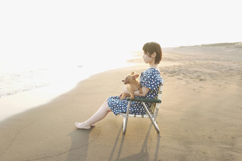 LeicaQ typ116 Summilux28mm F1.7 ASPH｜作例｜湘南の夕日