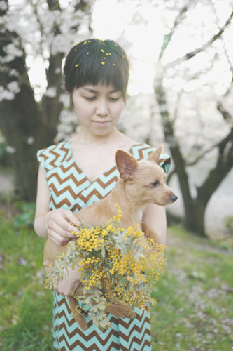 LeicaQ typ116 Summilux28mm F1.7 ASPH｜作例｜ミモザと桜