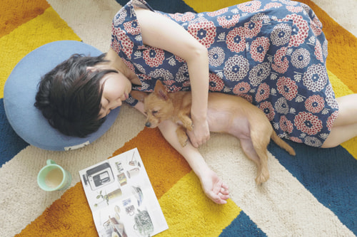 LeicaQ typ116 Summilux28mm F1.7 ASPH｜作例｜昼寝する女性と犬