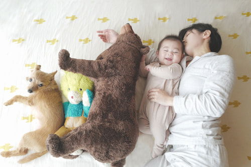 LeicaQ typ116 Summilux28mm F1.7 ASPH｜作例｜レビュー