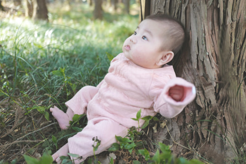 LeicaQ typ116 Summilux28mm F1.7 ASPH｜作例｜冬の森