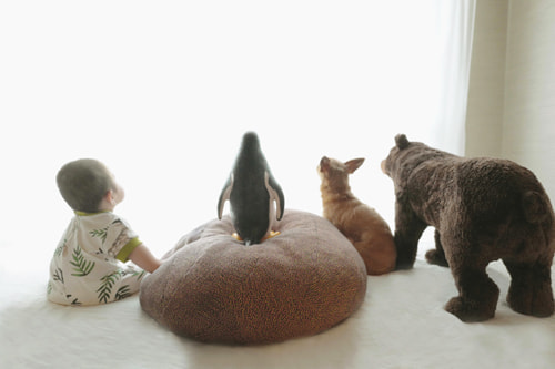 LeicaQ typ116 Summilux28mm F1.7 ASPH｜作例｜赤ちゃん＆犬＆ぬいぐるみ