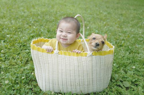 LeicaQ typ116 Summilux28mm F1.7 ASPH｜作例｜赤ちゃん＆犬