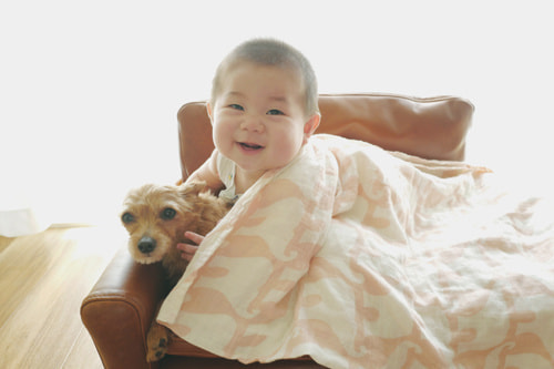 LeicaQ typ116 Summilux28mm F1.7 ASPH｜作例｜赤ちゃん＆犬