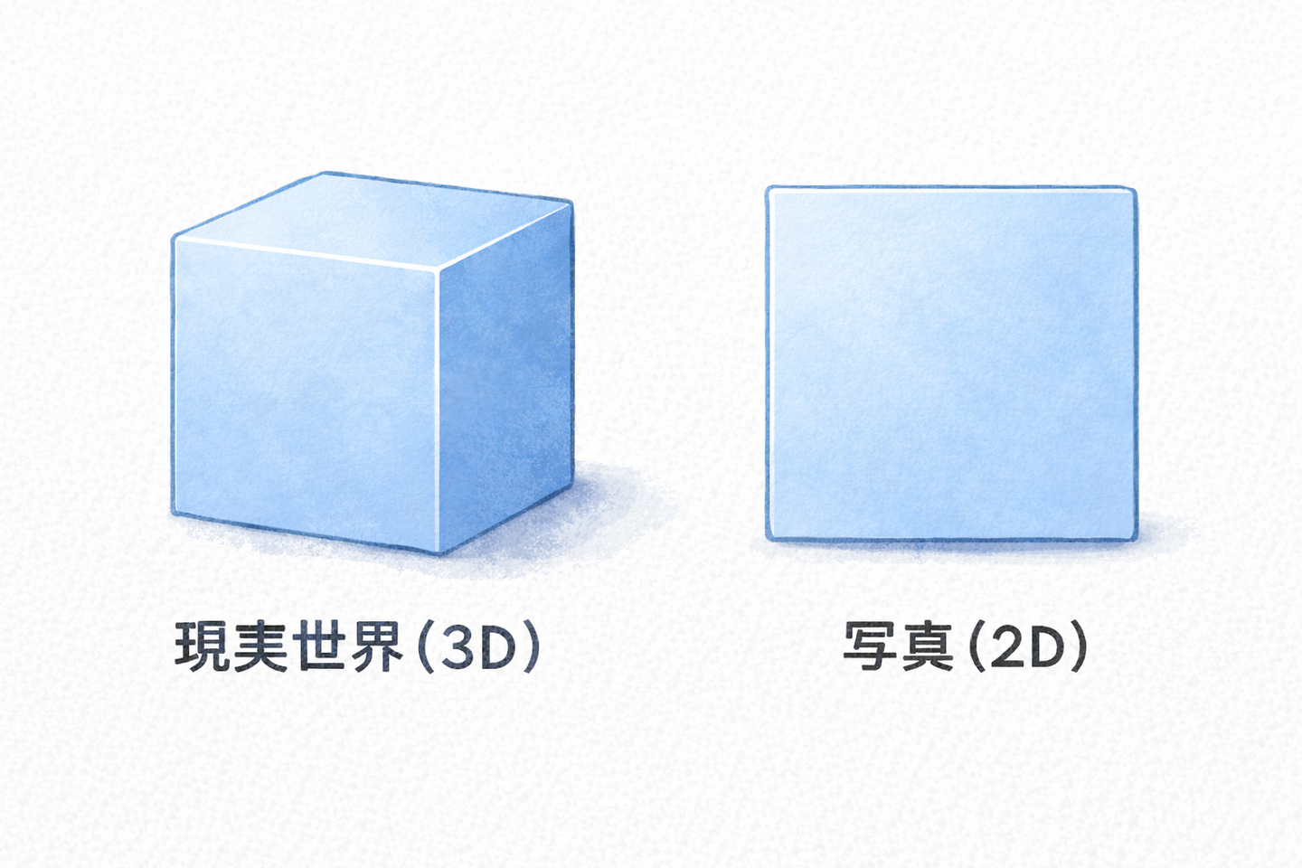 カメラセンサーの違いを解説｜物理学上の写真