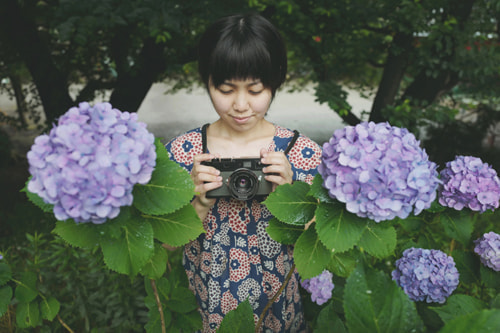 紫陽花のおしゃれな撮り方｜紫陽花の写真を撮る女性