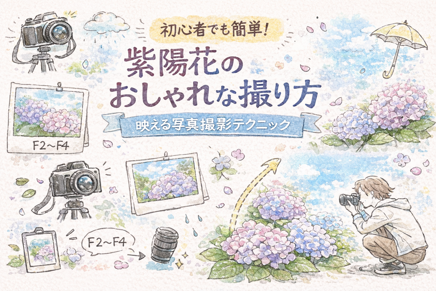 紫陽花のおしゃれな撮り方