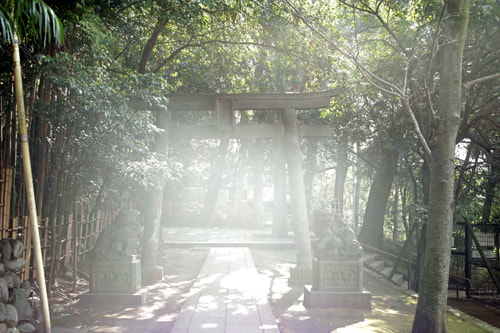 EOS R6 Mark ⅲ RF24-70 f2.8 L USMをレビュー｜逆光