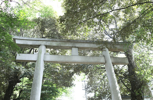 EOS R6 Mark ⅲ RF24-70 f2.8 L USMをレビュー｜日陰(鳥居と階段)