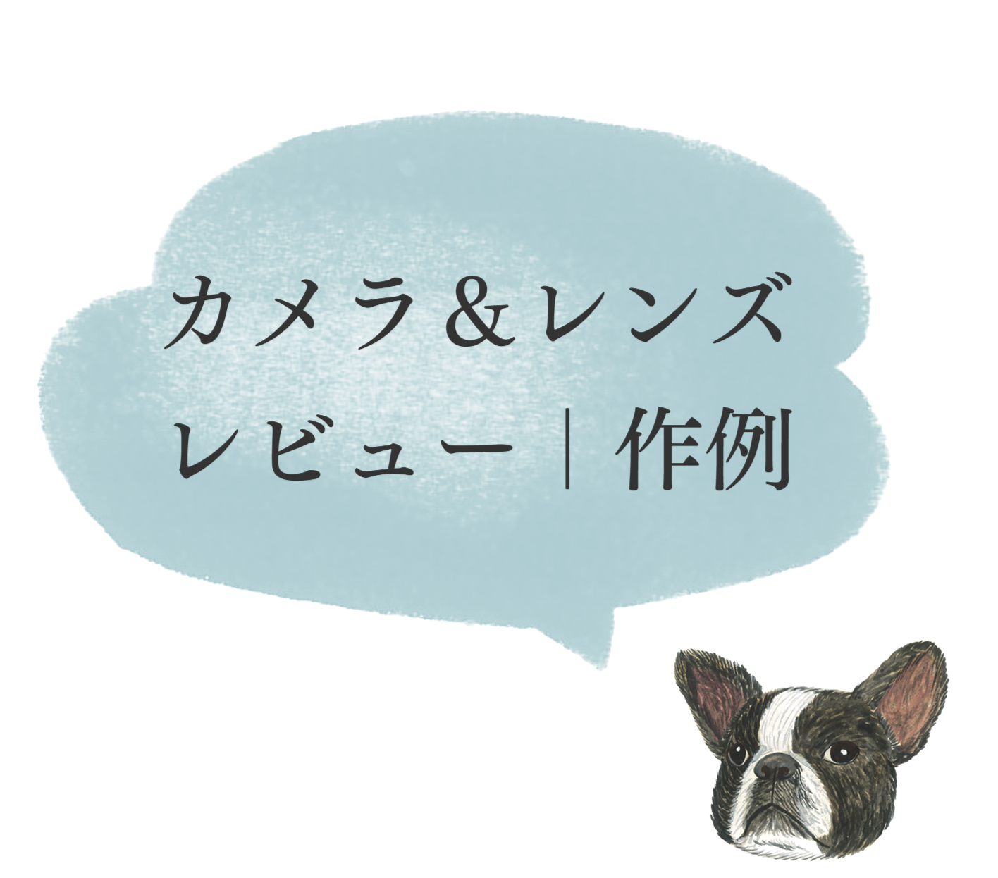 カメラ＆レンズ＆撮影機材のレビュー、作例、使用感
